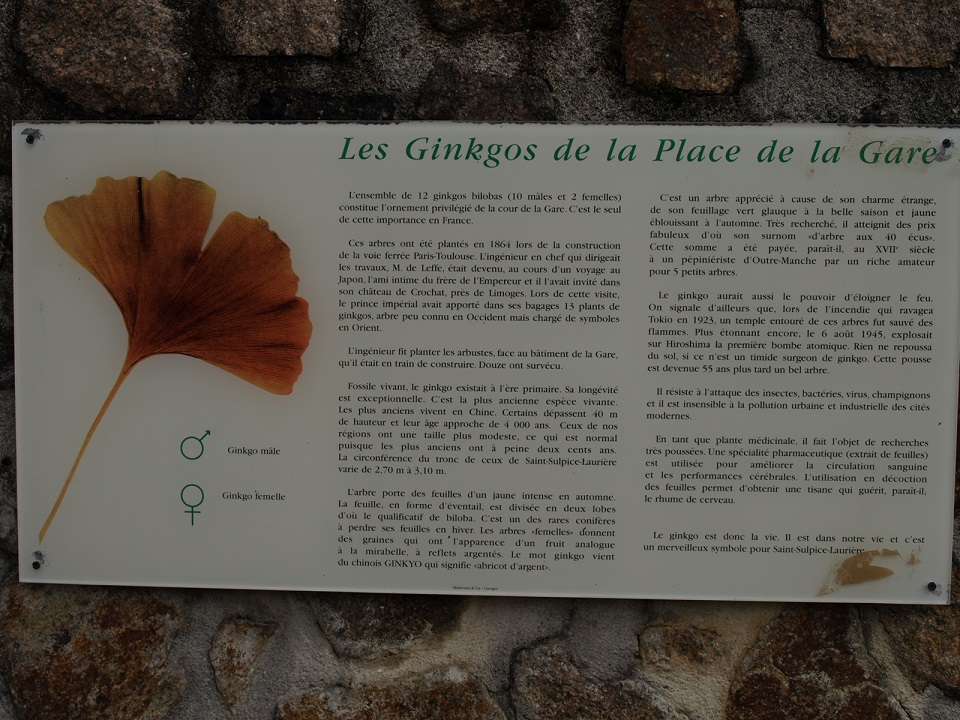 Plaque ginkgos.jpg