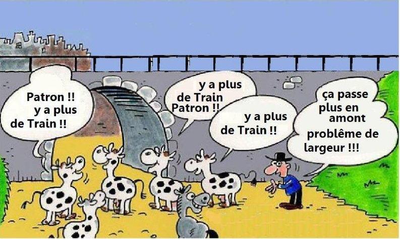 Oh les vaches.jpg