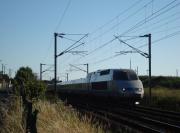 TGV Atlantique (4)