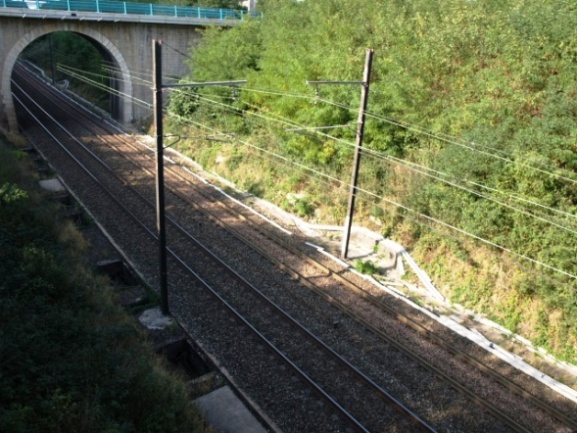 20090913220012.jpg