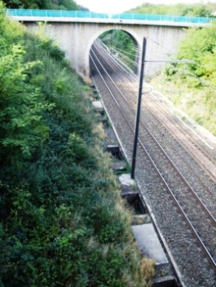 20090913220420.jpg