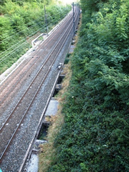 20090913220421.jpg