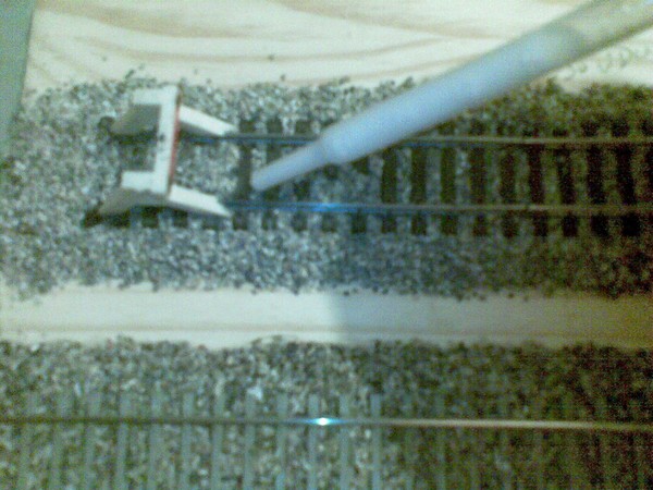 2010050875408.jpg