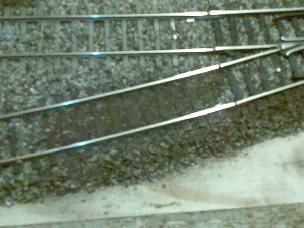 20100508100534.jpg