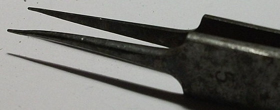 20111214213358.jpg