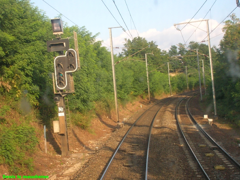 St André le Gaz.jpg