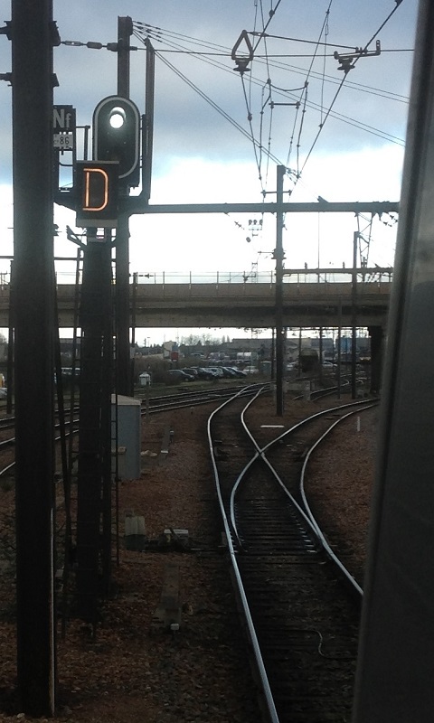 photo.JPG