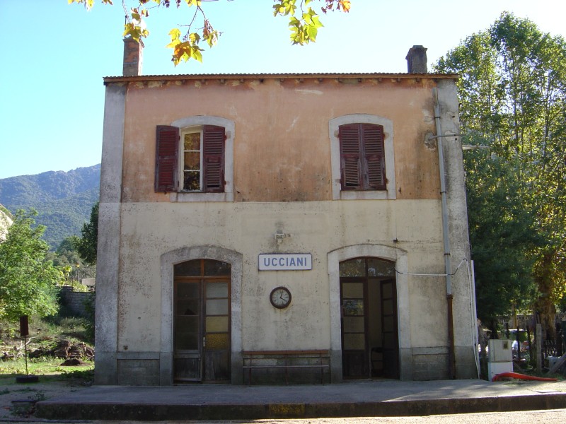 BVUcciani.jpg