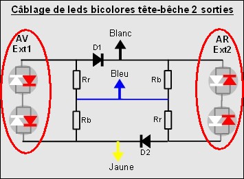 CablageLedsBicoloresTeteBeche2SortiesEntouree.jpg