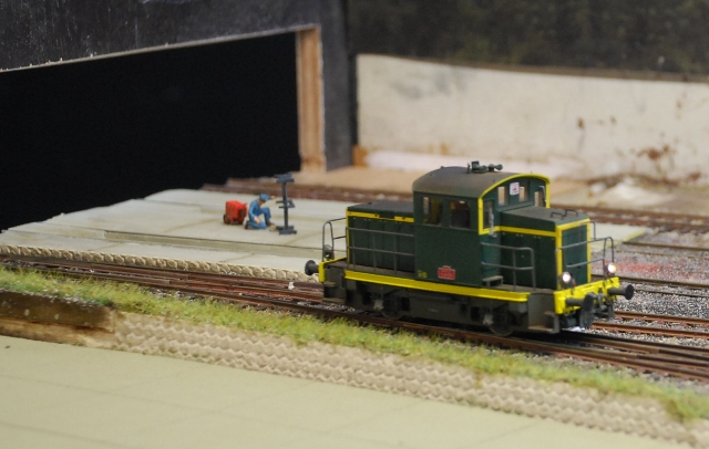 DSC_0070web.JPG