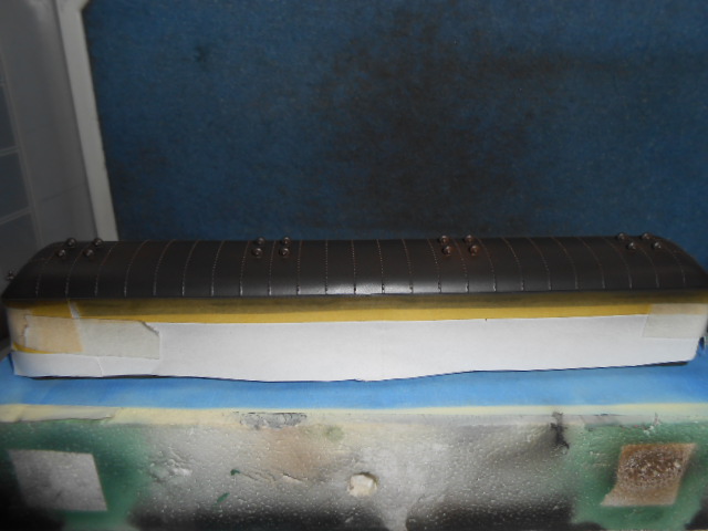 DSCN2459 (1).JPG
