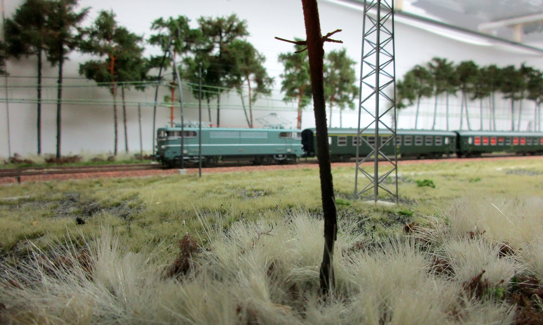 (4) Passage du Sud Express à Ychoux.JPG