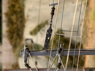 IMG_6553.jpg