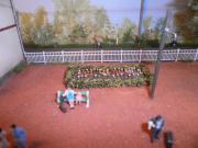 Parterre de fleurs